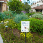 ABC 7 News OC Water District Brings California Native Landscapes To