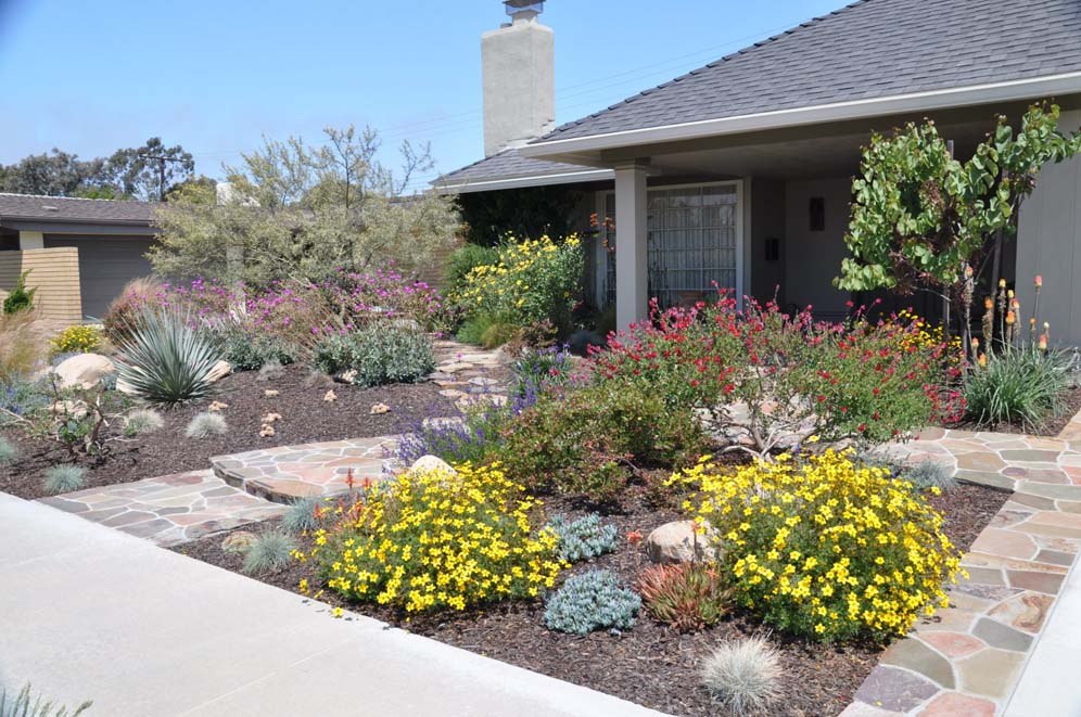 Do It Yourself Turf Removal Program Do It Yourself Turf Removal Program